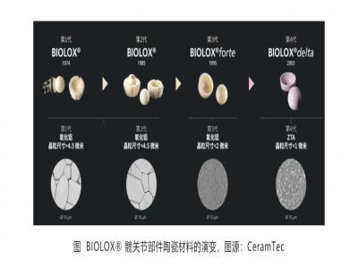 國內外大企業都在關注，寡頭壟斷的陶瓷球頭到底是什么